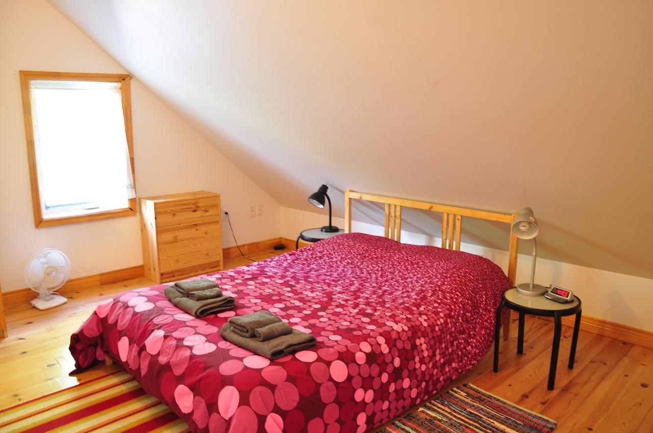Breton Cove Farmhouse Guest House Indian Brook Ngoại thất bức ảnh